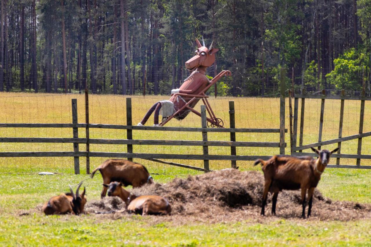 Penzion Kozi Farma Novy Dvur Česká Lípa Bagian luar foto